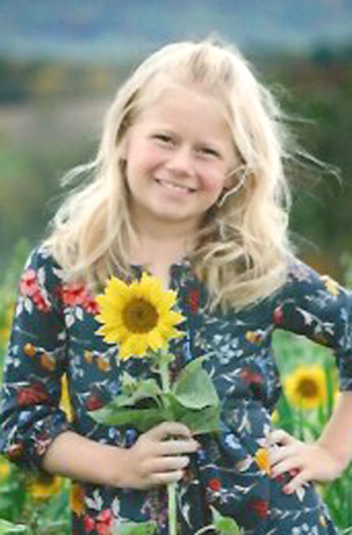 Evelyn Hippensteel